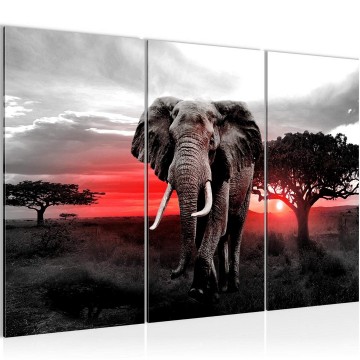 Canvas schilderij afrika olifant 11 130 x 80 cm 001231