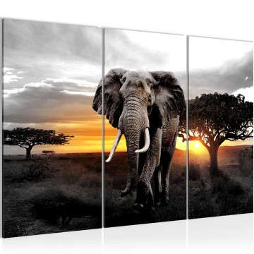Canvas schilderij afrika olifant 12 130 x 80 cm 001231