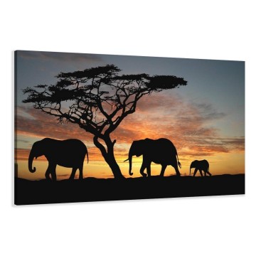 Canvas schilderij afrika olifant 120 x 80 cm 5066