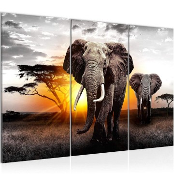 Canvas schilderij afrika olifant 13 130 x 80 cm 007631