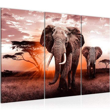 Canvas schilderij afrika olifant 14 130 x 80 cm 007631