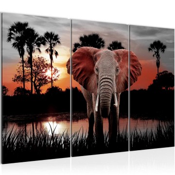 Canvas schilderij afrika olifant 2 130 x 80 cm 001931