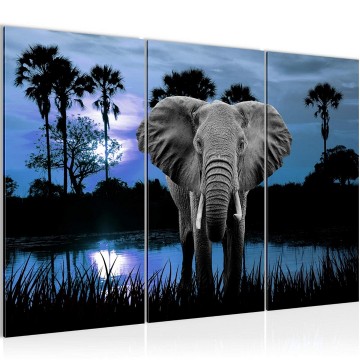 Canvas schilderij afrika olifant 3 130 x 80 cm 001931