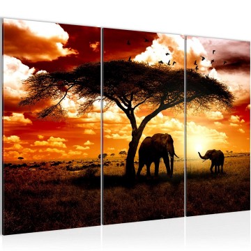 Canvas schilderij afrika olifant 4 130 x 80 cm 001531