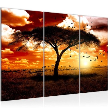 Canvas schilderij afrika olifant 6 130 x 80 cm 001531