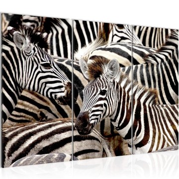 Canvas schilderij afrika zebra 1 130 x 80 cm 000831