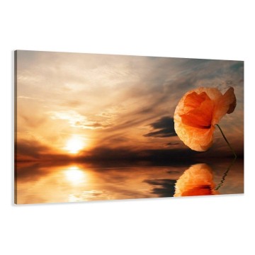 Canvas schilderij bloem zonsondergang 120 x 80 cm 5022