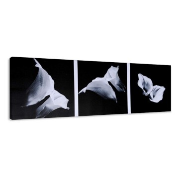 Canvas schilderij bloemen 120 x 40 cm 5709