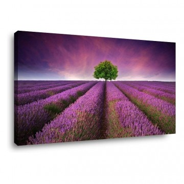 Canvas schilderij bloemenveld 80 x 60 cm 4059