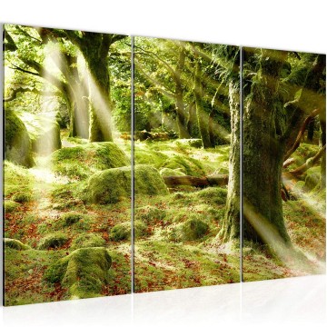Canvas schilderij bos 11 130 x 80 cm 610931