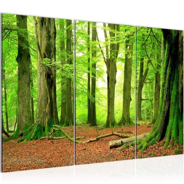 Canvas schilderij bos 12 130 x 80 cm 610931