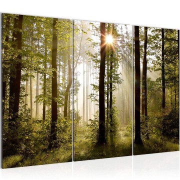 Canvas schilderij bos 14 130 x 80 cm 601731