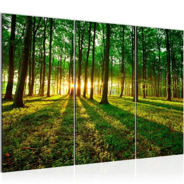 Canvas schilderij bos 19 130 x 80 cm 605731