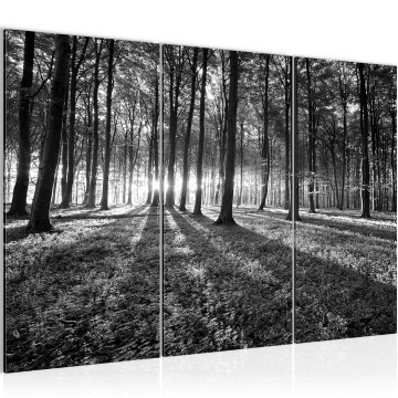 Canvas schilderij bos 20 130 x 80 cm 605731