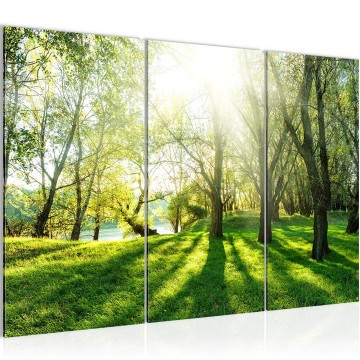 Canvas schilderij bos 21 130 x 80 cm 608431