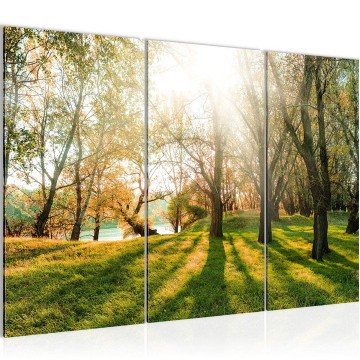 Canvas schilderij bos 22 130 x 80 cm 608431