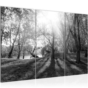 Canvas schilderij bos 23 130 x 80 cm 608431