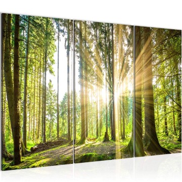 Canvas schilderij bos 29 130 x 80 cm 503831