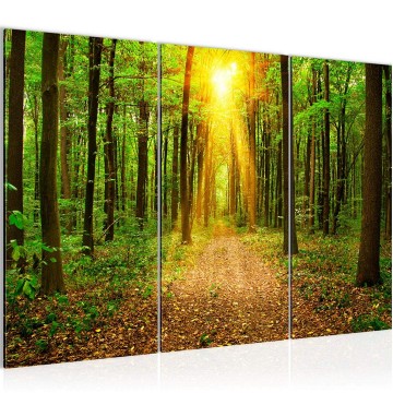 Canvas schilderij bos 32 130 x 80 cm 608231