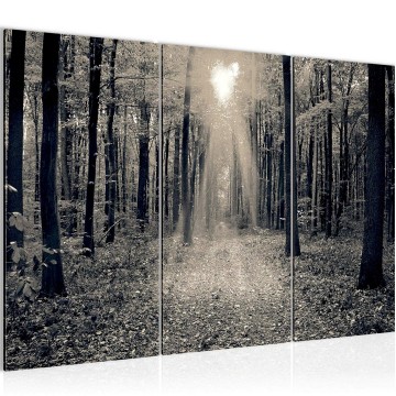 Canvas schilderij bos 33 130 x 80 cm 608231