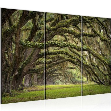 Canvas schilderij bos 35 130 x 80 cm 609931