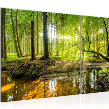 Canvas schilderij bos 36 130 x 80 cm 611731