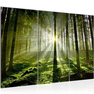 Canvas schilderij bos 38 130 x 80 cm 602931