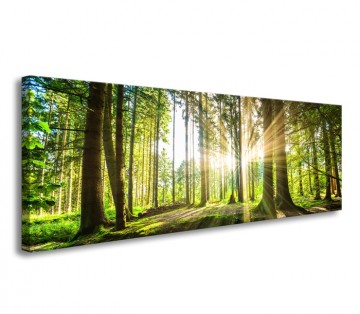 Canvas schilderij bos landschap 120 x 40 cm 5730