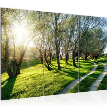 Canvas schilderij bospad 4 130 x 80 cm 004431