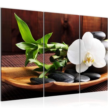 Canvas schilderij feng shui 14 130 x 80 cm 502331