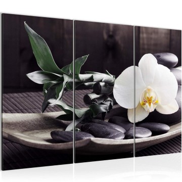 Canvas schilderij feng shui 16 130 x 80 cm 502331