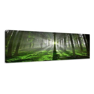 Canvas schilderij groen bos 120 x 40 cm 5706
