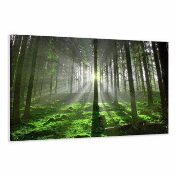Canvas schilderij groen bos 120 x 80 cm 5130