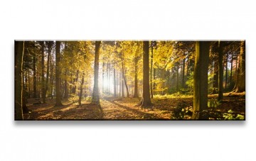Herfstbos 120 x 40 cm