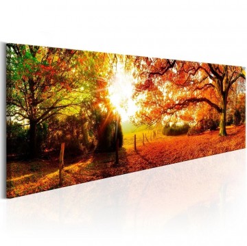 Canvas schilderij herfstbos 120 x 40 cm 5743
