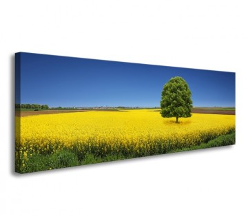 Canvas schilderij landschap 120 x 40 cm 5729