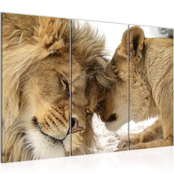 Canvas schilderij leeuw 4 130 x 80 cm 002131