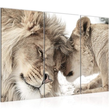 Canvas schilderij leeuw 5 130 x 80 cm 002131