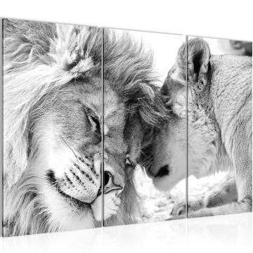 Canvas schilderij leeuw 6 130 x 80 cm 002131