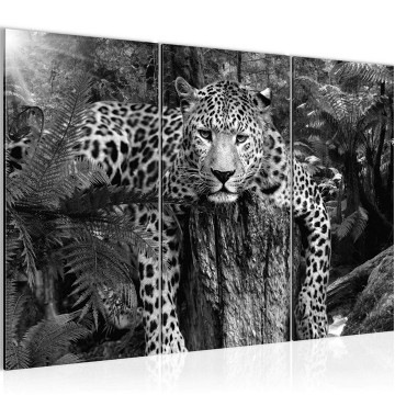 Canvas schilderij luipaard 6 130 x 80 cm 003531