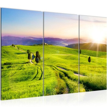 Canvas schilderij natuur 1 130 x 80 cm 610731