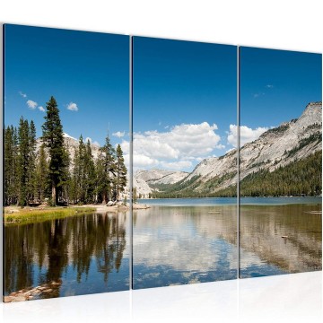 Canvas schilderij natuur 11 130 x 80 cm 606831