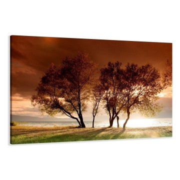 Canvas schilderij natuur 120 x 80 cm 5025