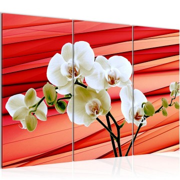 Canvas schilderij orchidee 1 130 x 80 cm 202031