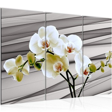 Canvas schilderij orchidee 2 130 x 80 cm 202031
