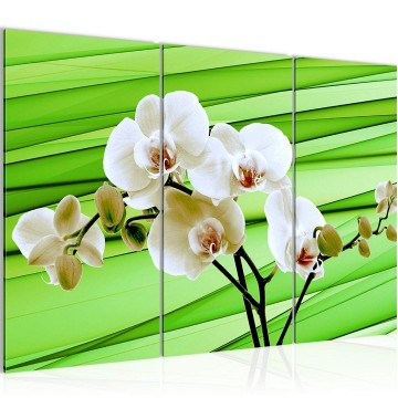 Canvas schilderij orchidee 3 130 x 80 cm 202031
