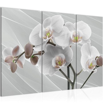 Canvas schilderij orchidee 6 130 x 80 cm 203031