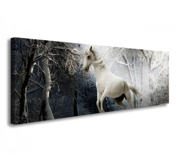 Canvas schilderij paard 120 x 40 cm 5739