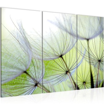 Canvas schilderij paardenbloem 17 130 x 80 cm 206131