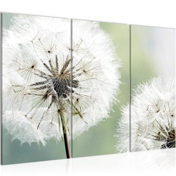 Canvas schilderij paardenbloem 4 130 x 80 cm 207131